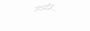 Wild Horses Collective
